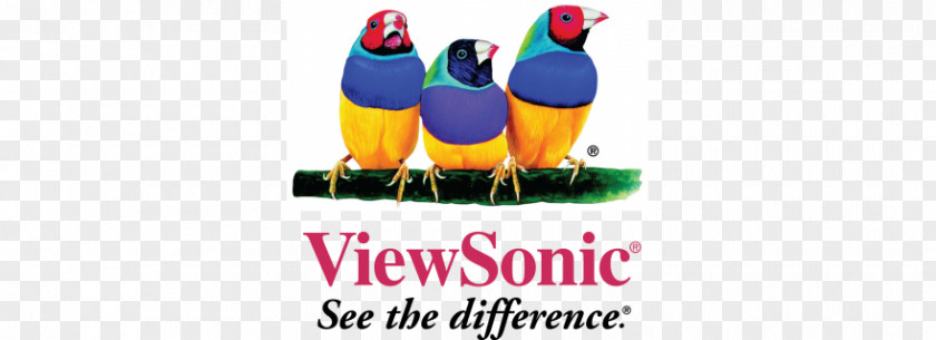 ViewSonic Computer Monitors Logo PNG