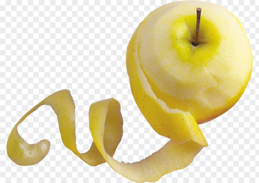 Apple Clip Art PNG