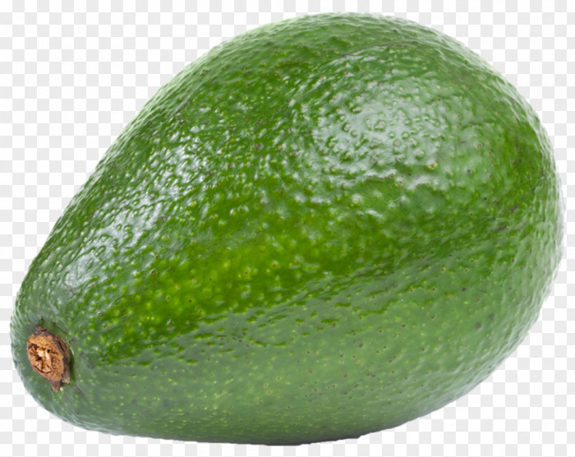 Avocado Hass Fruit Clip Art PNG
