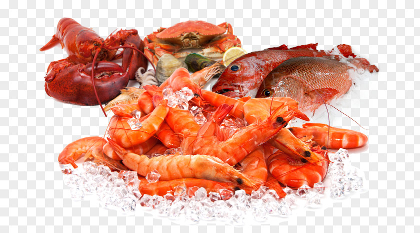 Crab Prawn Cacciucco Seafood Shrimp PNG