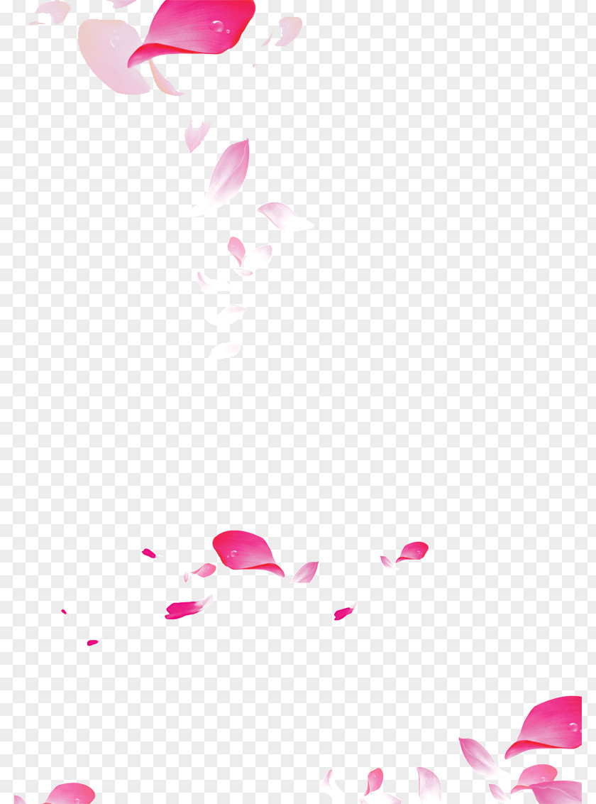 Falling Petals Petal Art PNG