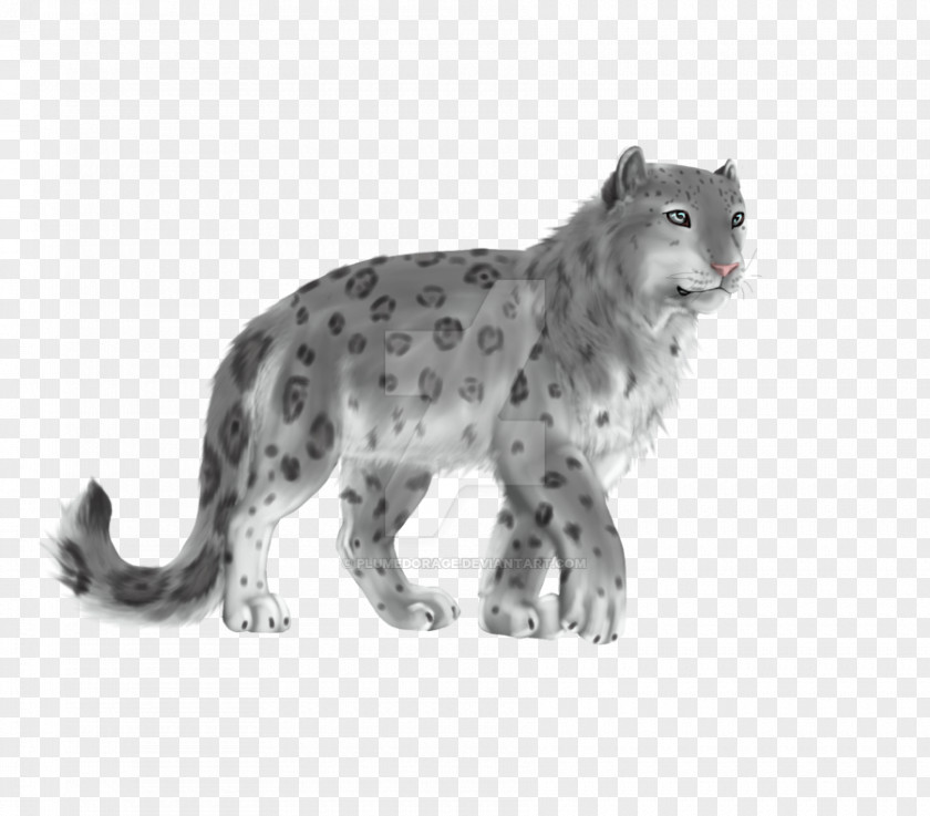 Leopard Whiskers Snow Cat Fur PNG
