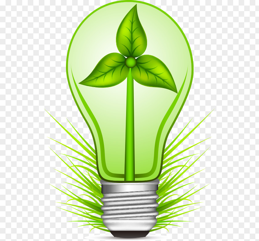 Light Bulb Environmental Protection Drawing Adobe Illustrator PNG