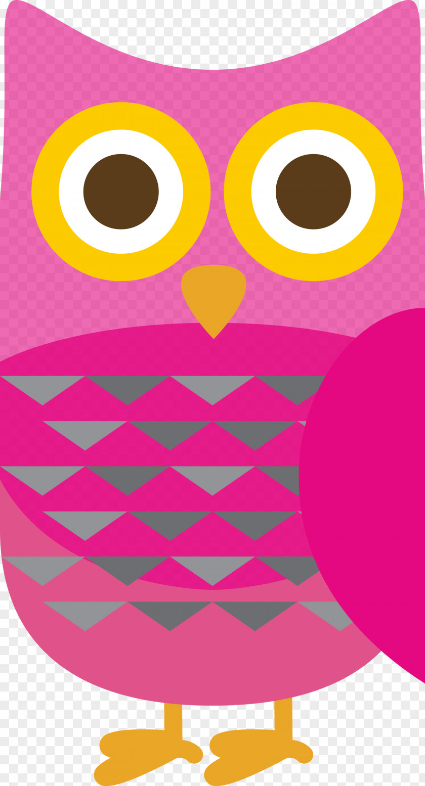 Owl M Cartoon Meter Pattern Beak PNG