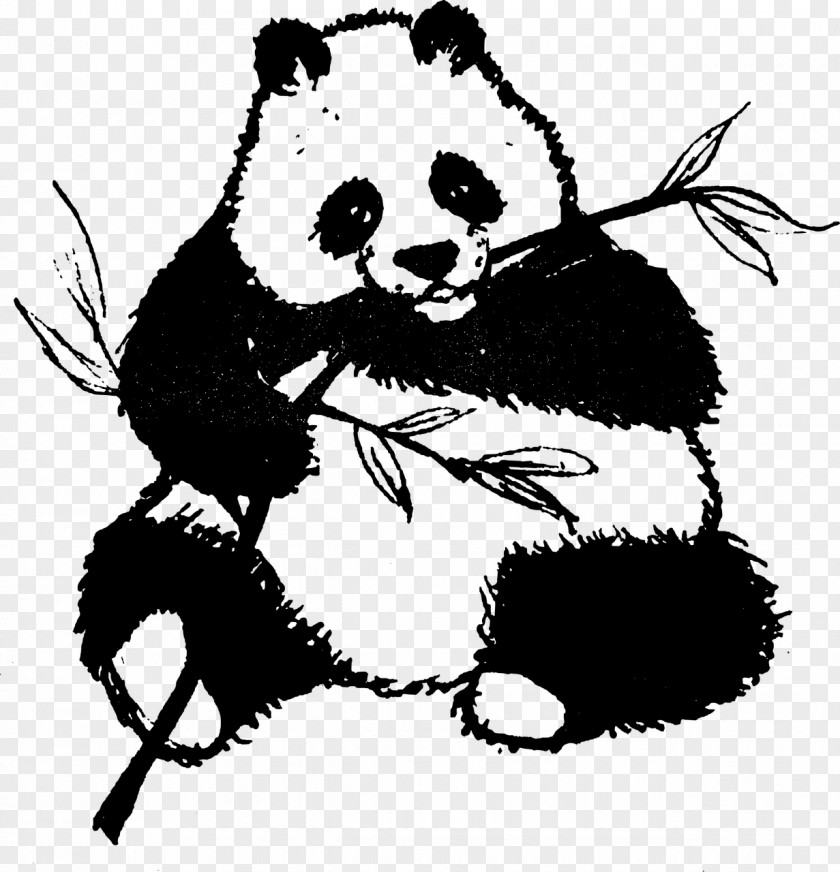 Pand Giant Panda Cuteness Clip Art PNG