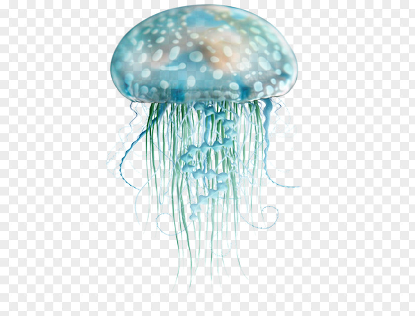 Sea Blue Jellyfish PNG