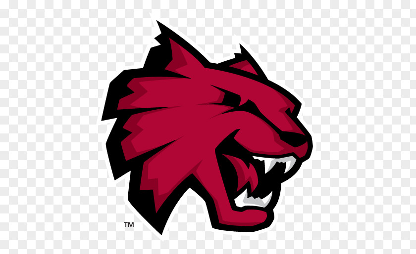 Student Central Washington University Montana State Billings Highline College Wildcats Football PNG