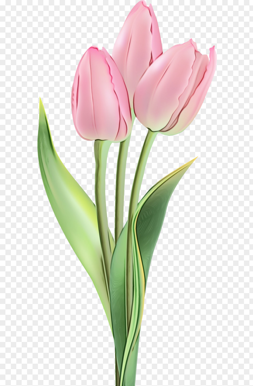 Artificial Flower PNG