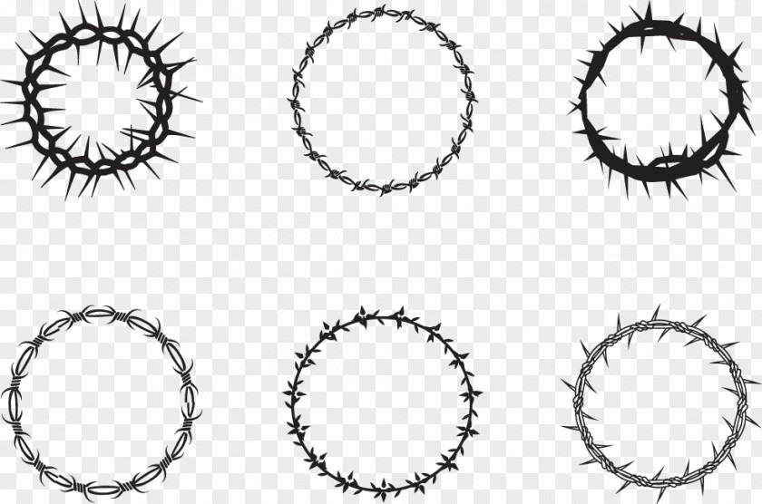 Crown Of Thorns Vector Illustration Thorns, Spines, And Prickles Euclidean PNG