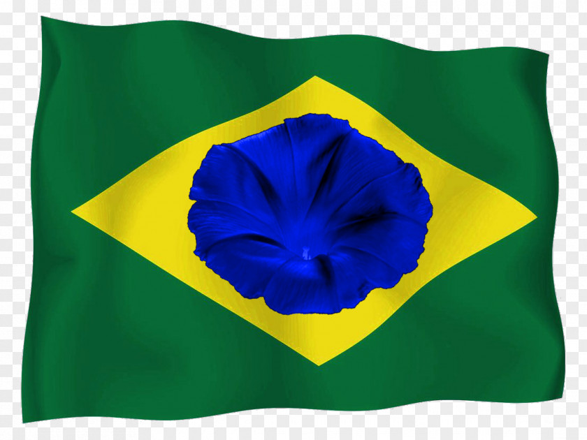 Flag Of Brazil Azores Symbol PNG