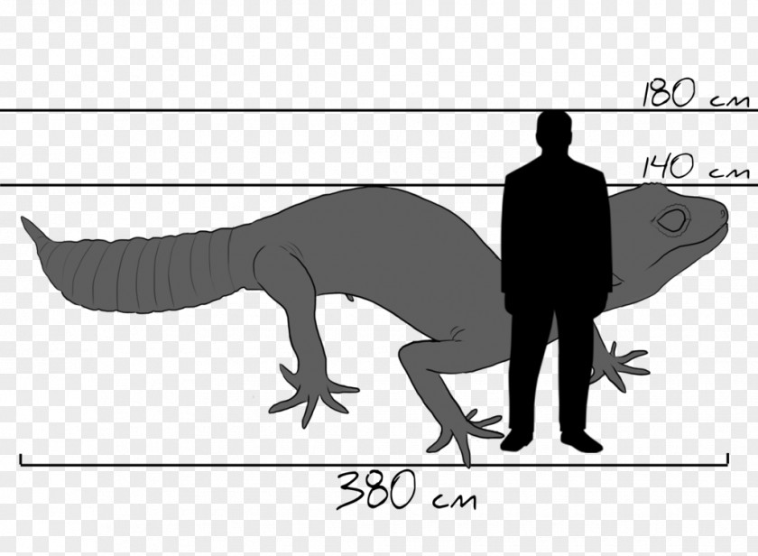 Leopard Gecko Common Drawing Tyrannosaurus Silhouette PNG