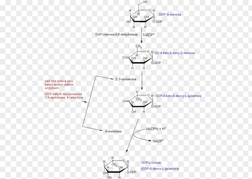 Line Angle Glucose 6-phosphate PNG