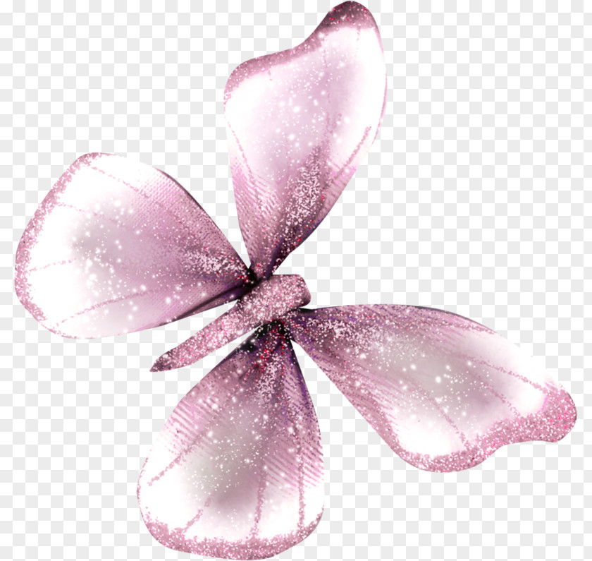 Papillon Butterfly Dog Insect Clip Art PNG