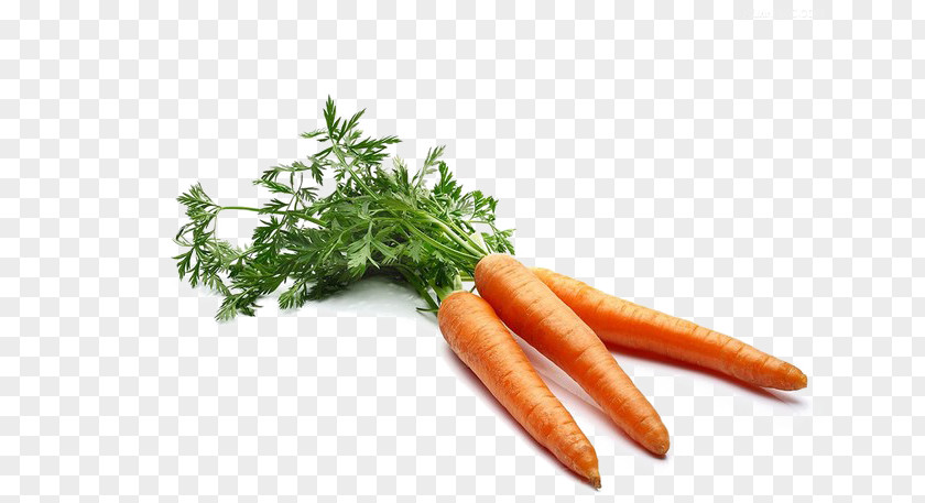 Red Carrots Carrot Daikon Vegetable PNG