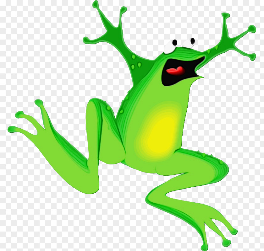 Shrub Frog Green Agalychnis Tree Hyla PNG