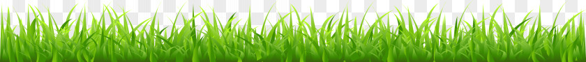 Cartoon Spring Grass Border Lawn Free Content Clip Art PNG