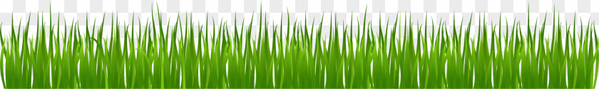 Green Simple Grass Drawing Olympics Opening Ceremony Clip Art PNG