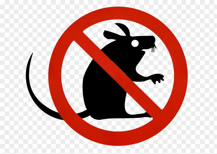 Mouse Mousetrap Rat Trap Rodent PNG