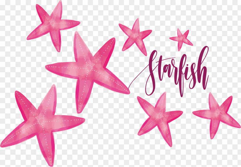 Pink Watercolor Starfish Painting PNG