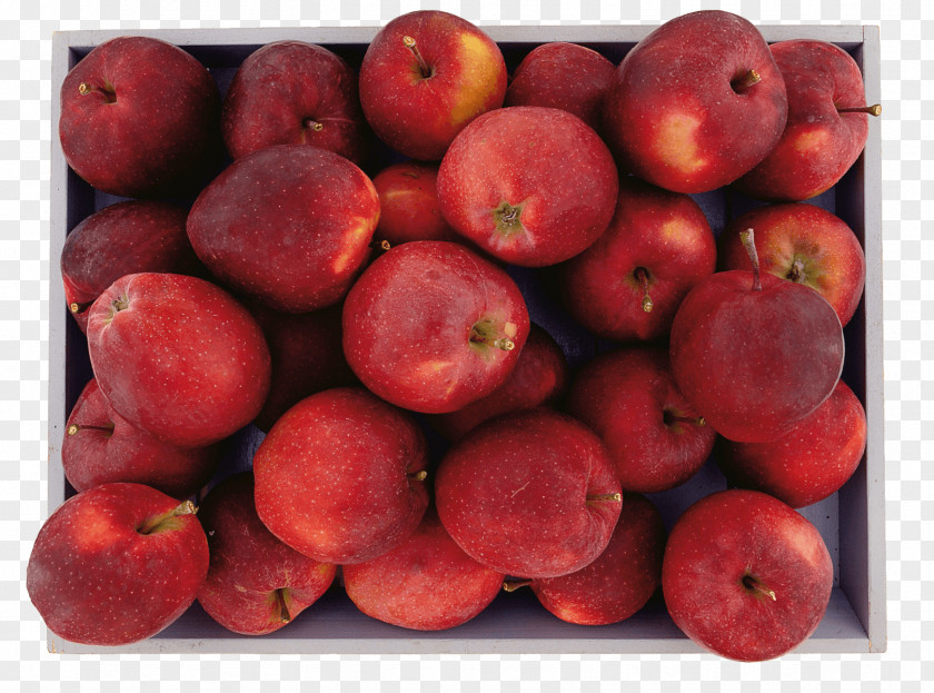 Barbados Cherry Garcinia Indica Accessory Fruit Cranberry Malpighia Glabra PNG