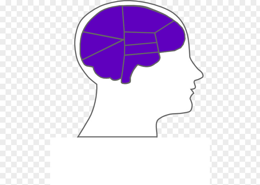 Cartoon Brain Outline Of The Human Clip Art PNG