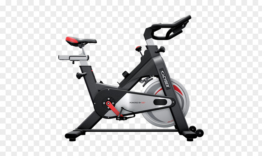 Cycling Exercise Bikes Cybex International Indoor Equipment Arc Trainer PNG