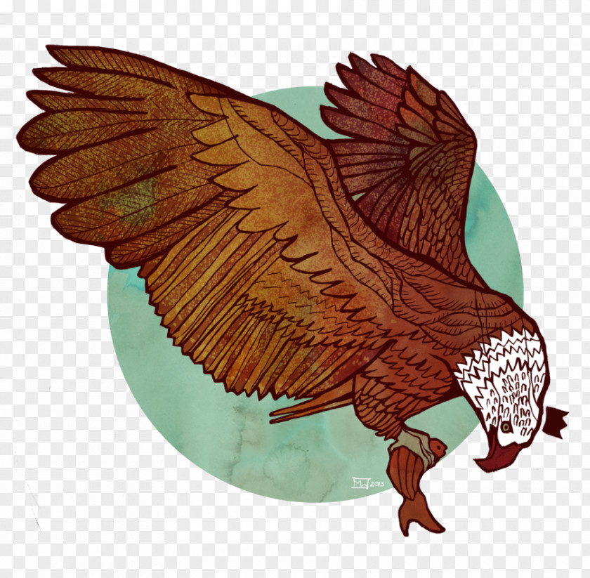 Eagle Art Museum Fire And Blood Animal PNG