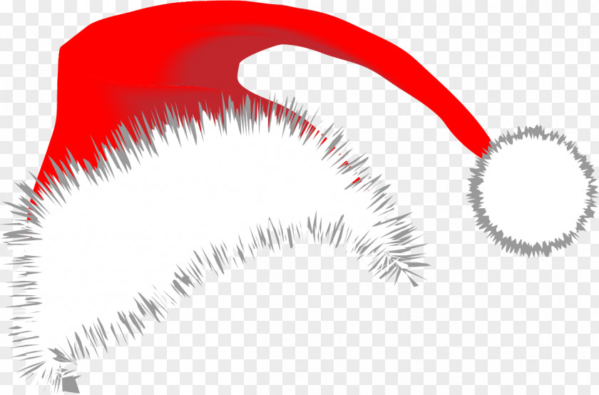 Eyelash Eye PNG