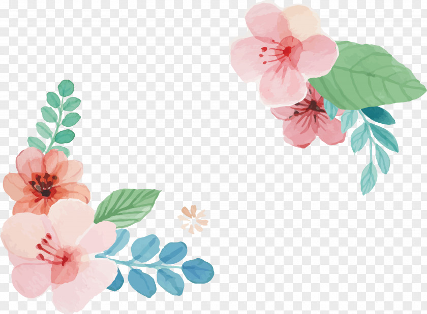 Pink Sakura Header Box PNG