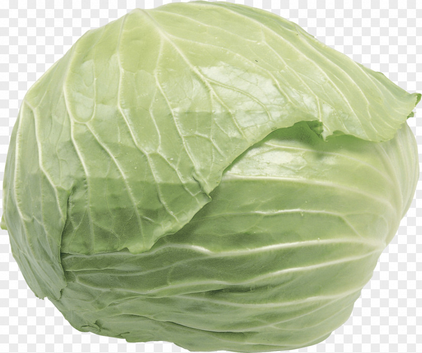 Cabbage Image Red Cauliflower Lettuce Vegetable PNG