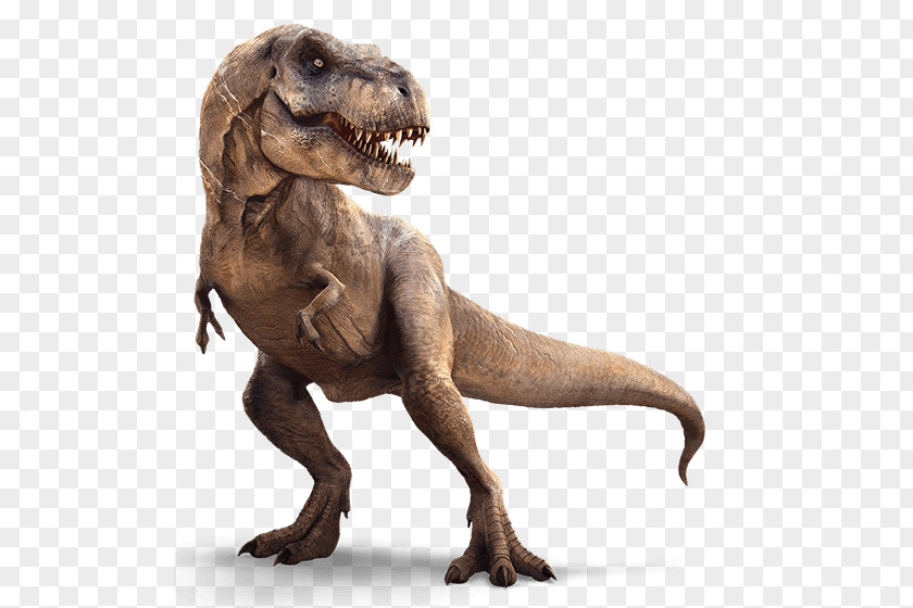 Dinosaur Animals Tyrannosaurus Ian Malcolm Spinosaurus Velociraptor Triceratops PNG
