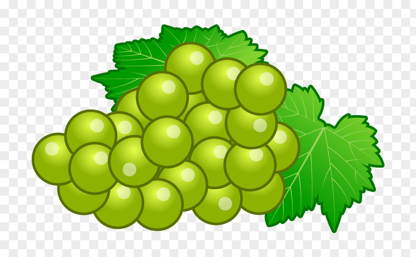 Food Fruit Sultana Grape Seedless PNG