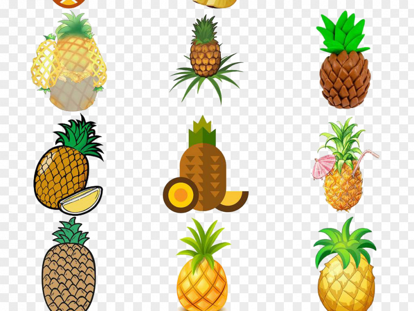Fresh Pineapple Fruit PNG
