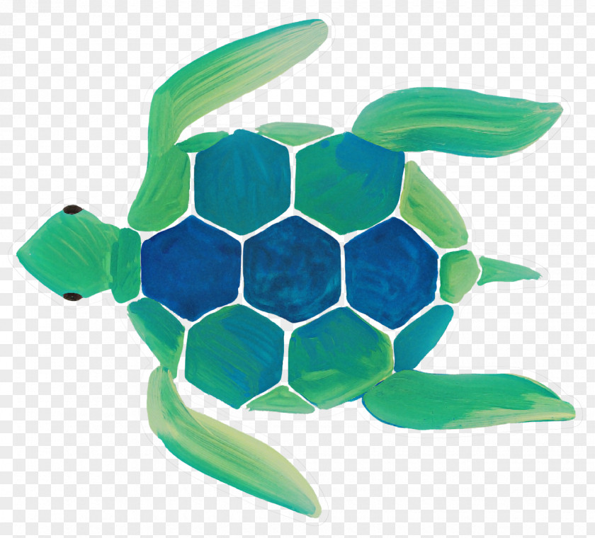 Sea Turtles Loggerhead Turtle Green PNG