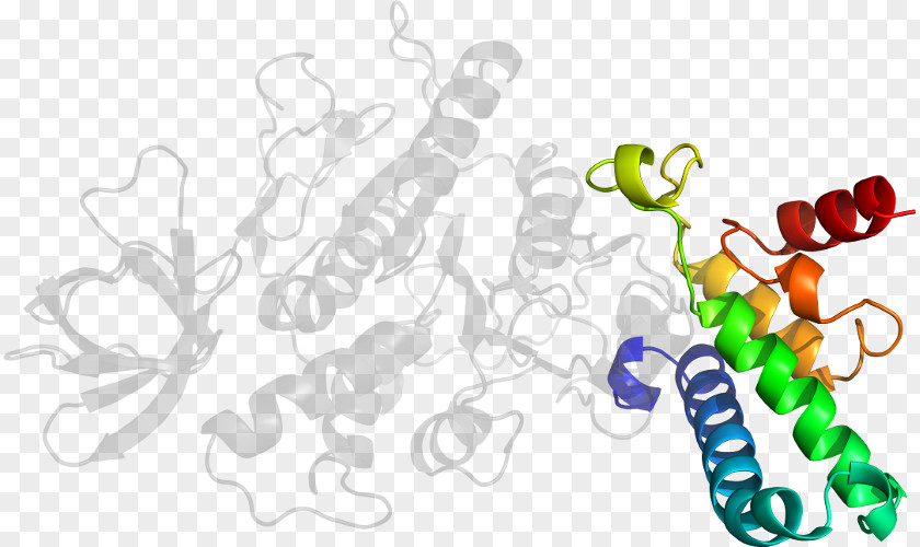 Sterilized Virus Antibody Human Behavior Organism Line Clip Art PNG