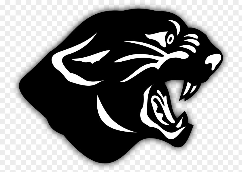 American Football Parma Panthers Carolina Weslaco High School PNG