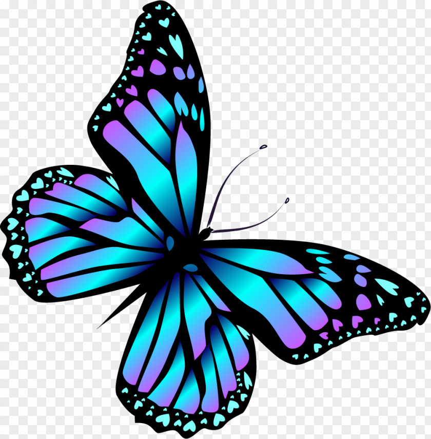 Cartoon Blue Butterfly Monarch PNG