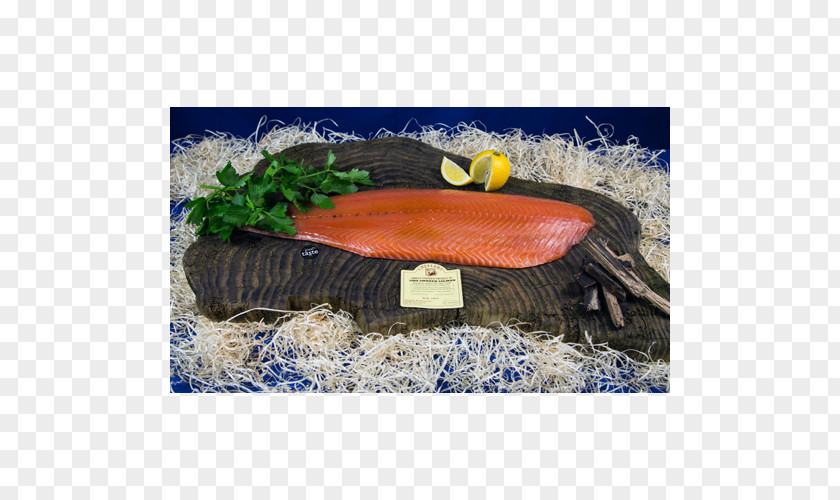 Causewayside Food Retail Fish Common Mushroom PNG