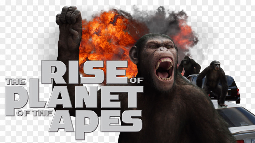 Planet Of The Apes 0 Television Film PNG