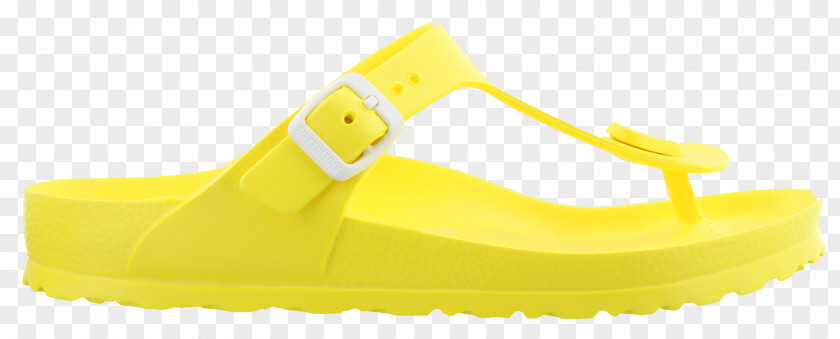 Slippers Walking Shoe PNG