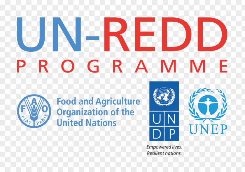 United Nations Framework Convention On Climate Change REDD Programme Reducing Emissions From Deforestation And Forest Degradation Development PNG
