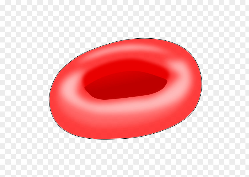 Blood Cell Red PNG
