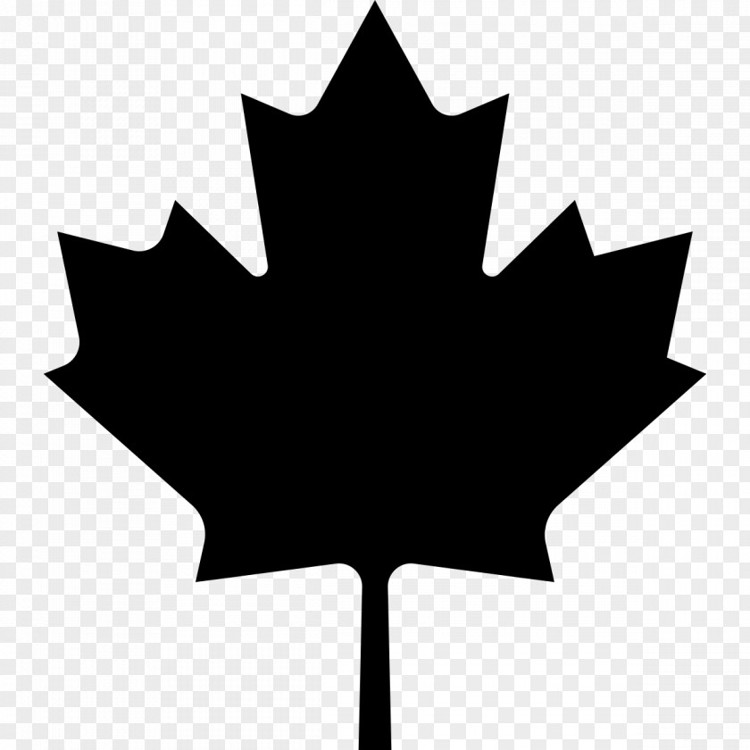 Maple Leaf Ornament Flag Of Canada Clip Art PNG