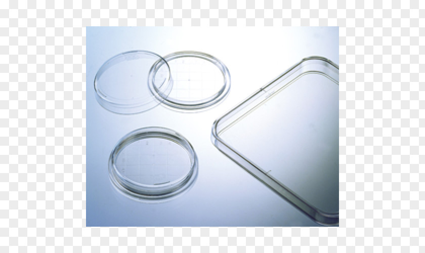 Petri Dishes Greiner Bio-One Cell Culture Laboratory Tissue PNG