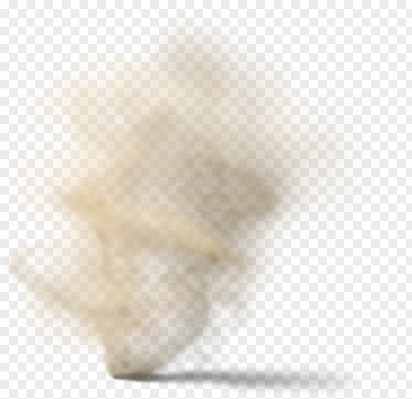 Dust In The Wind Snout Close-up Fur PNG