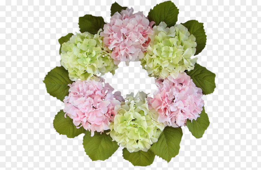 Flower Hydrangea Cut Flowers Floral Design Petal PNG