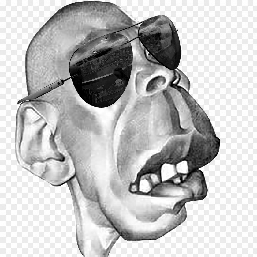 Forest Gump Ear Homo Sapiens Visual Arts Skull Sketch PNG
