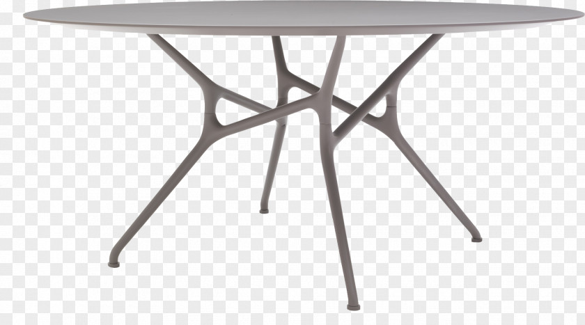 Table Chair Cappellini S.p.A. Branch Couch PNG