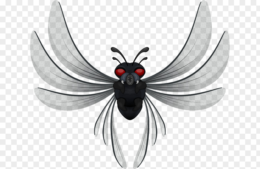 Beetle Illustration Graphics Clip Art Image PNG
