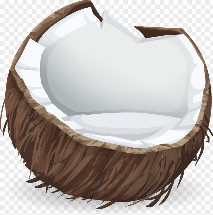 Coconut Water Milk Clip Art PNG